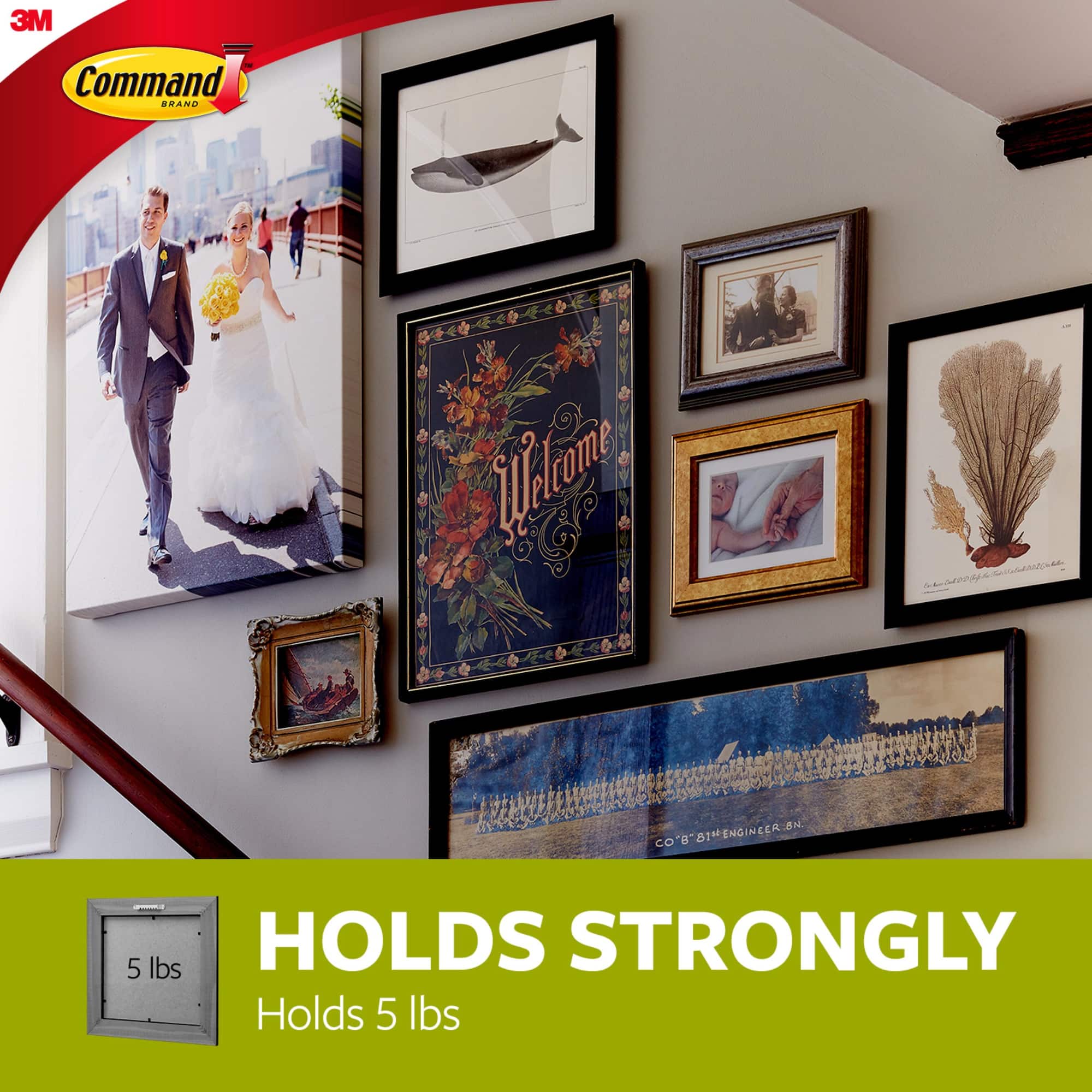 3M Command™ Sticky Nail Sawtooth Metal Hanger